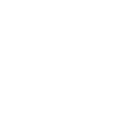 light icon